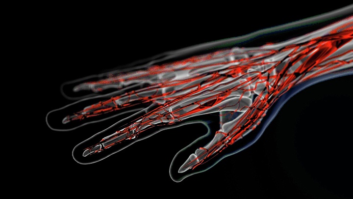 Как на ладони. Самарские ученые поняли, как лучше видеть вены