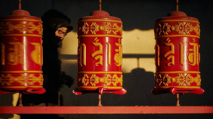 Буддийский монах дал прогноз на год деревянной змеи