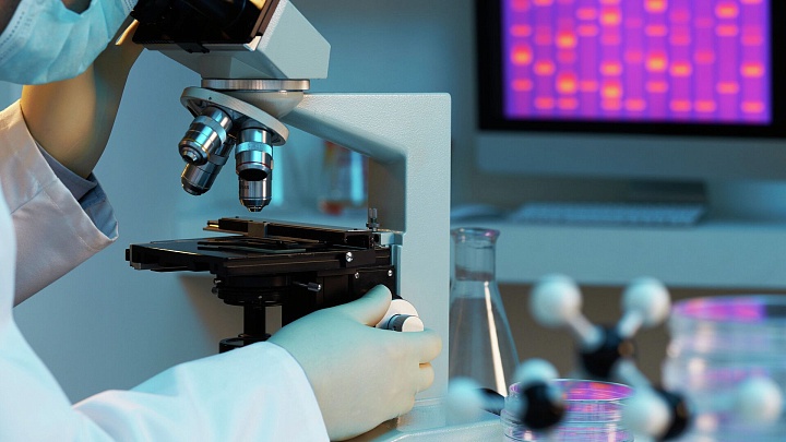 Российские ученые разработали систему оценки злокачественности рака почки